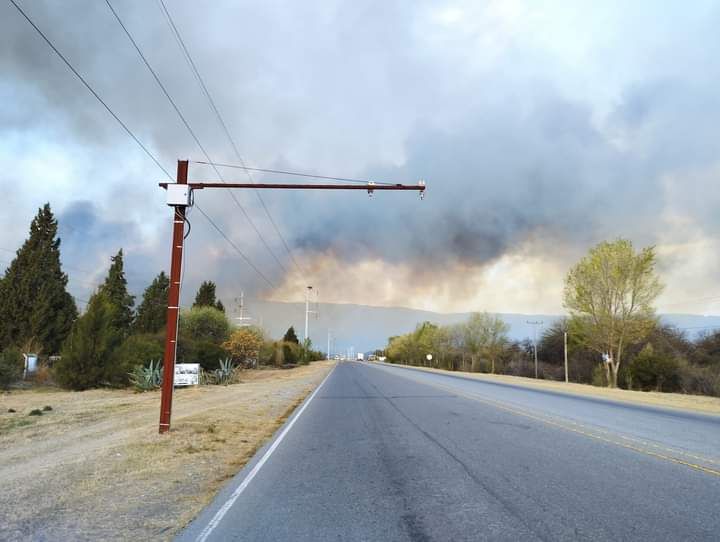 Los incendios en zona de Campo La Piedra y Rodeo Viejo están extinguidos