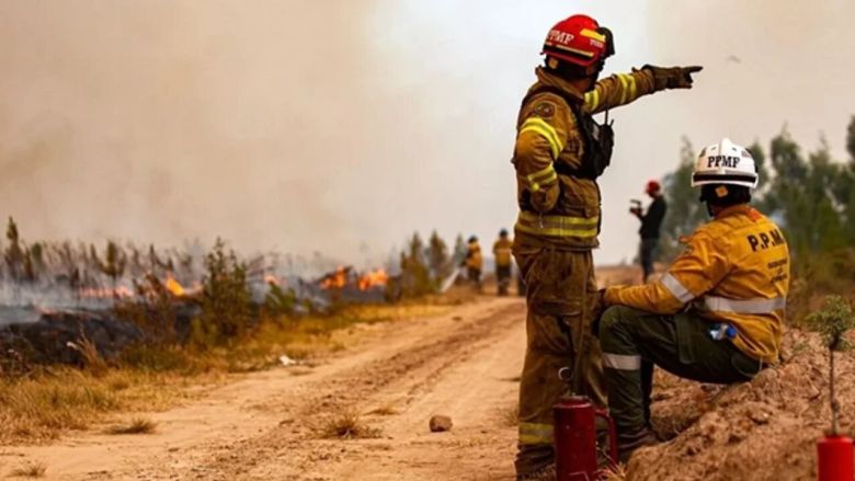 “Se reactivó una parte del incendio cuando rotó el viento hacia el sur"