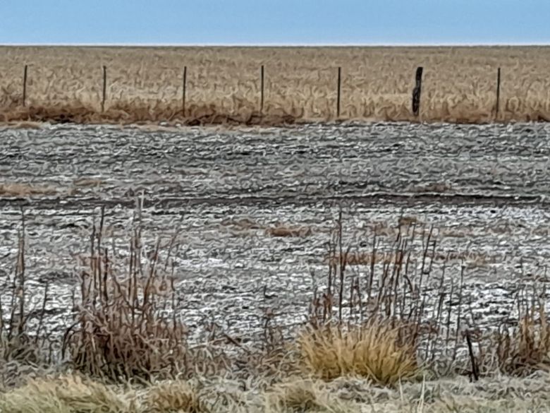 En Las Albahacas y Achiras nevó en la madrugada