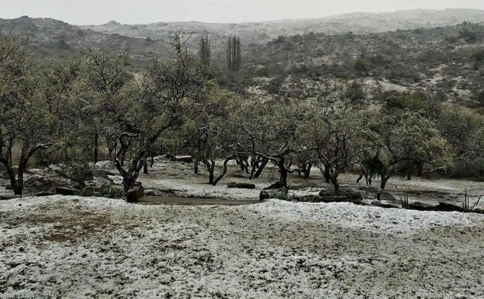 En Las Albahacas y Achiras nevó en la madrugada