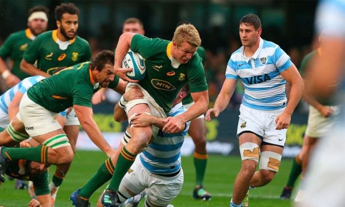 Los Pumas no pudieron con los Springboks 