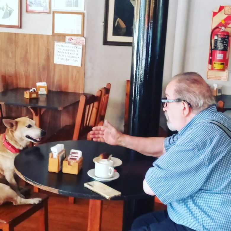 Corchito, el perro que “atiende” en un bar de Chivilcoy