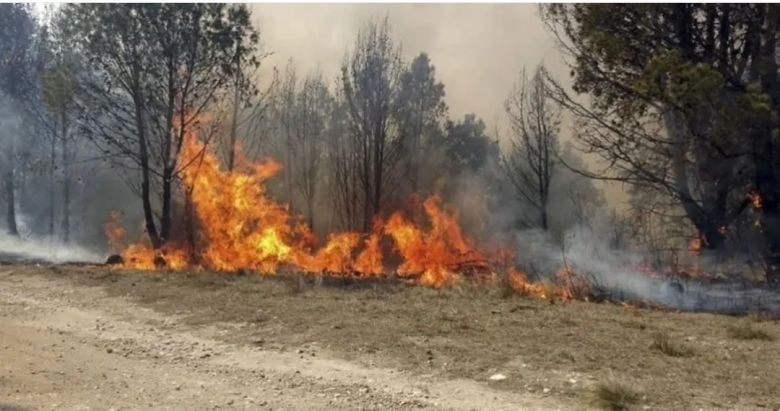 Bomberos sofocaron el incendio de Alpa Corral