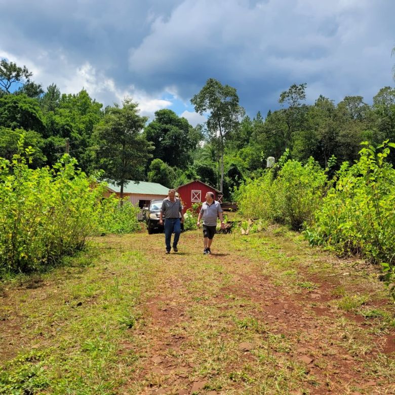 Sedami, el proyecto que promueve a Misiones como la capital de la seda en Argentina