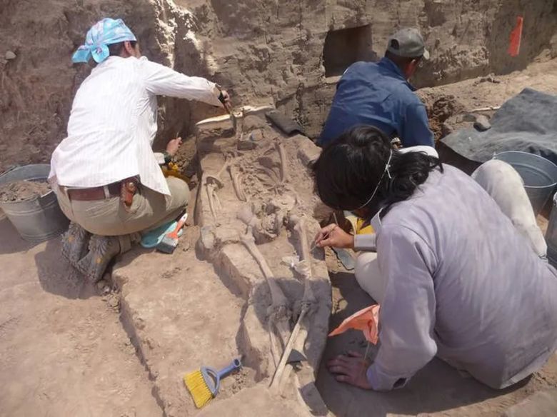 La verdadera historia detrás del hallazgo de los cráneos ovalados en Sonora que despertó teorías alienígenas