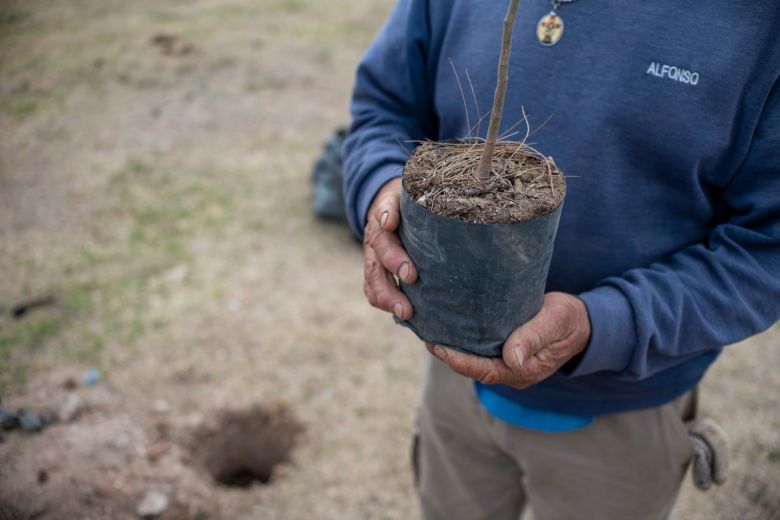 LV16, junto al Municipio y el Da Vinci plantaron mil algarrobos