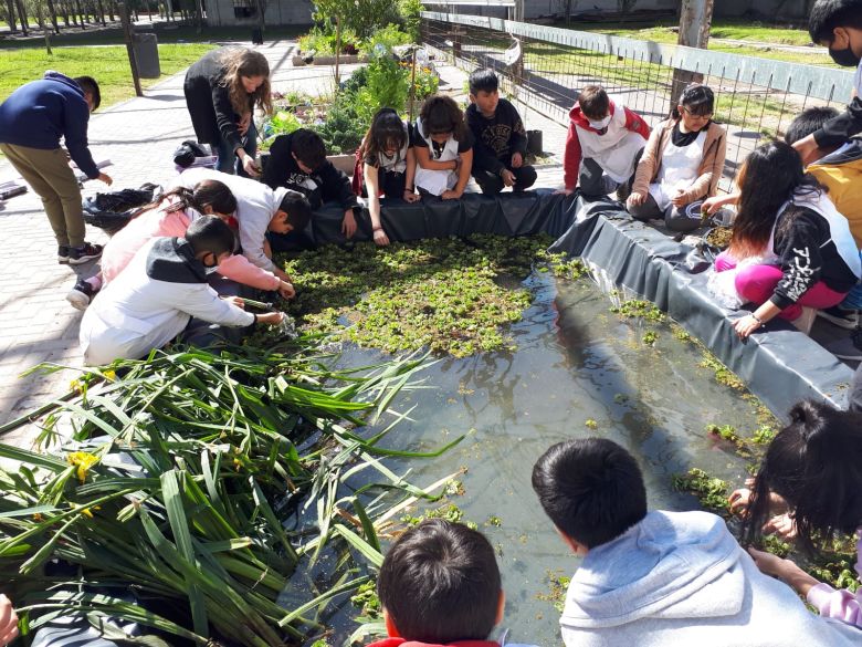 Una de las 10 mejores escuelas del mundo es argentina