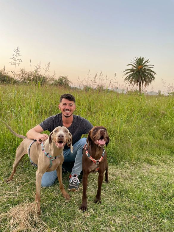 Un Hostel Canino donde los perros andan libres como panchos por su casa