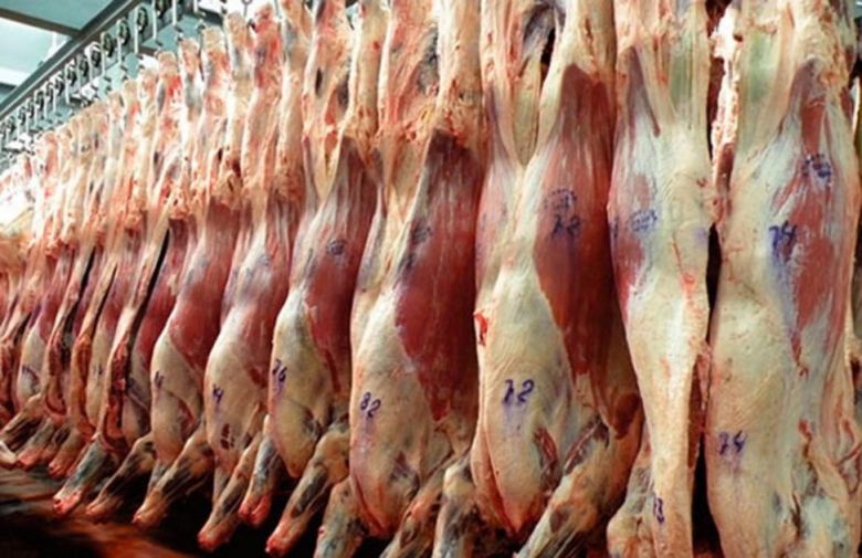 Troceo de Carne: “Haciendo pichín fuera del tarro”