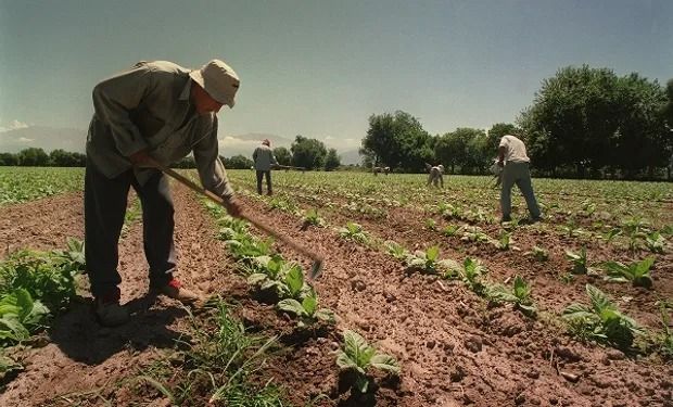 Denuncian un caso de trata en un campo de Coronel Moldes