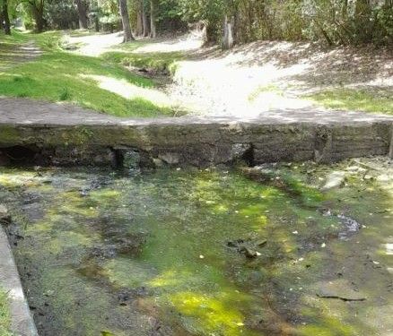 “El arroyo del Chacay se secó por completo”