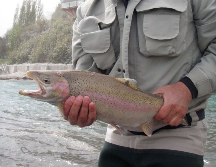 Se largó la temporada de pesca en Patagonia con lugares preferenciales y devolución obligatoria