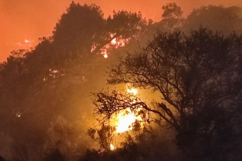 Combaten las llamas en Tala Cañada