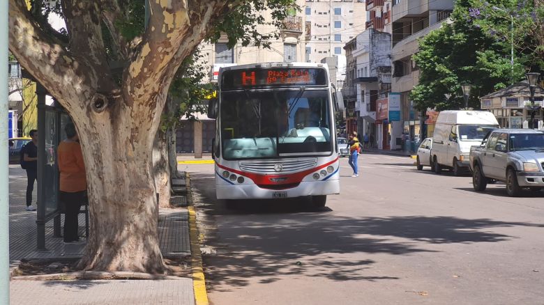 Debutó el sistema de transporte en la ciudad