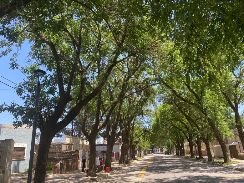 Se viene una ola de calor con máximas que superarán los 41 grados