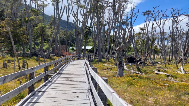 Andrés y Catalina cultivan frutillas en la chacra más austral del mundo