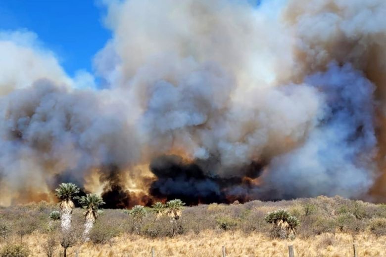 Declaración de desastre agropecuario en diversos polígonos de Córdoba