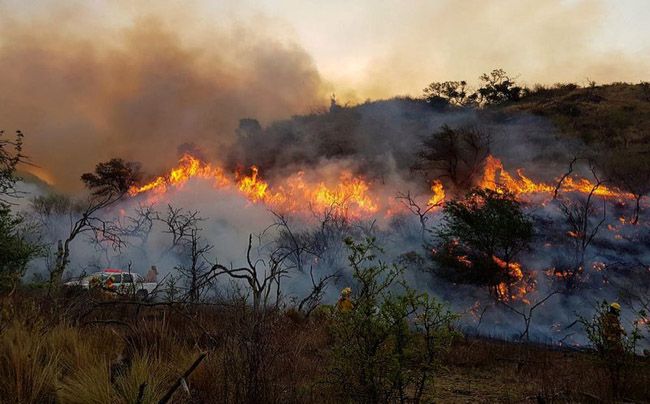 Declaración de desastre agropecuario en diversos polígonos de Córdoba