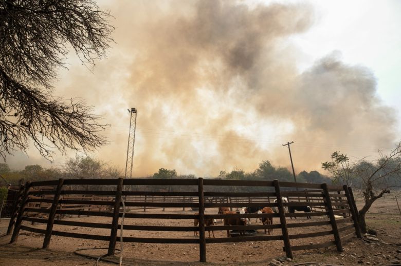 Declaración de desastre agropecuario en diversos polígonos de Córdoba