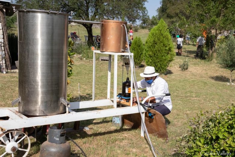 Todo listo en Calmayo para la Fiesta de la Cosecha de la Lavanda