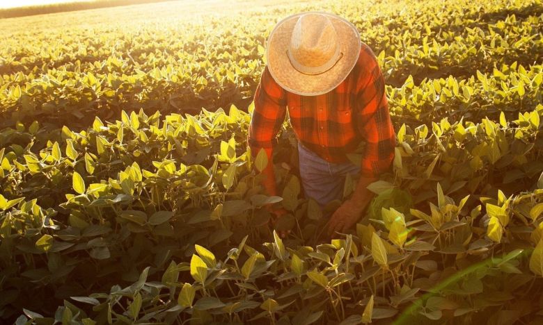 Se entregará un Bono de $50.000 a los trabajadores rurales