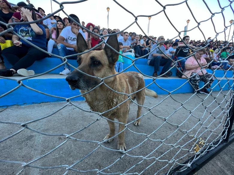 La octava noche fue la más multitudinaria con el Chaqueño Palavecino