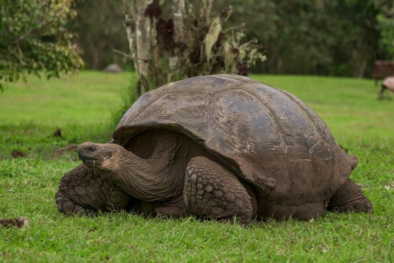 El joven argentino que se convirtió en explorador de National Geographic y retrata las profundidades  