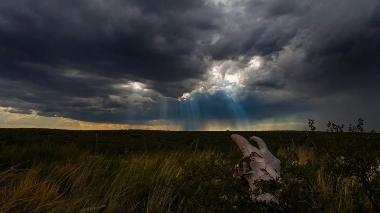 Regresa “El Niño”: buenas y malas noticias para nuestro país