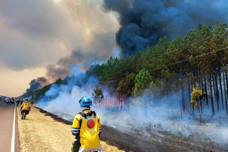 Durante enero de 2023 se contabilizaron 641 focos de calor