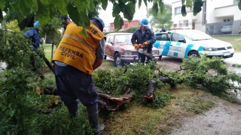 El intenso viento generó algunos inconvenientes con la caída de ramas, árboles y postes