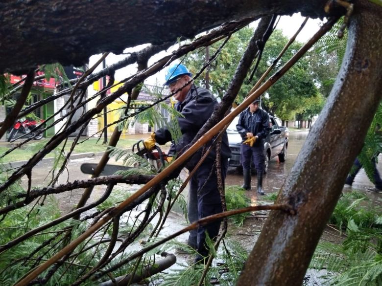 El intenso viento generó algunos inconvenientes con la caída de ramas, árboles y postes