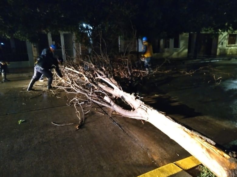 Más de 30 personas fueron asistidas en distintos sectores por el temporal