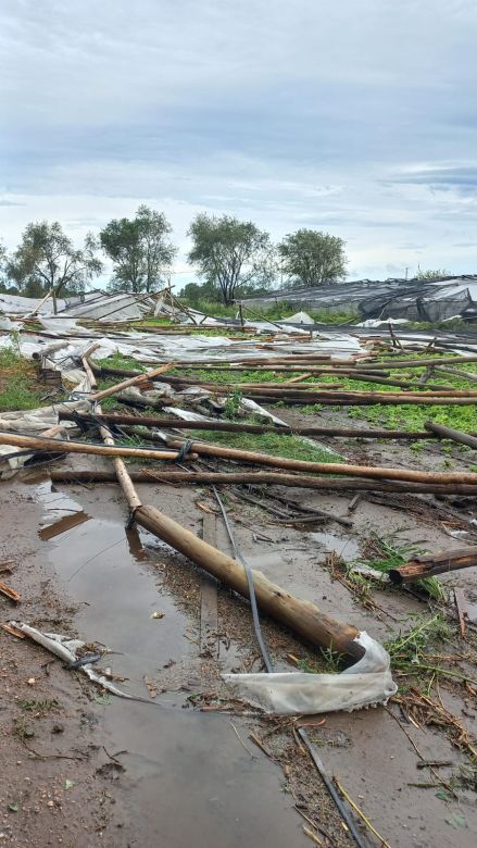 La tormenta afectó a productores del cinturón verde de la ciudad