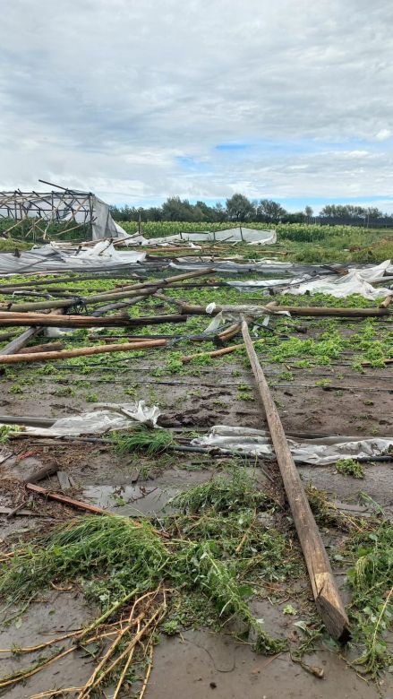 La tormenta afectó a productores del cinturón verde de la ciudad