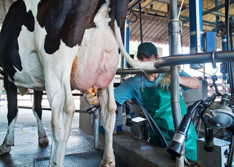 El Gobierno confirmó que giraron dinero a cuatro mil quinientos productores