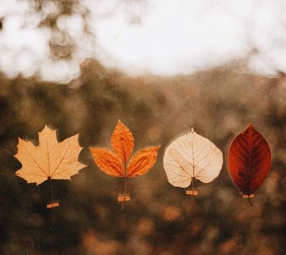 Comienzan a descender los índices térmicos y se asoma el otoño 