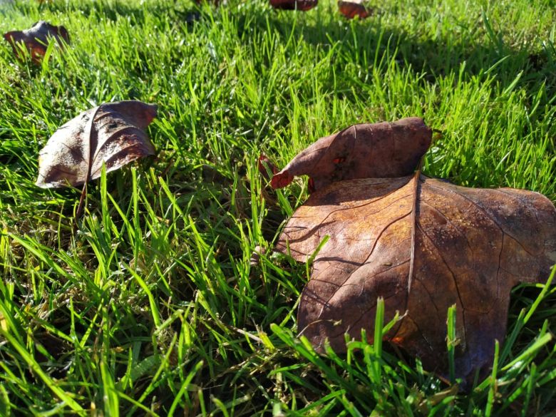 El otoño marca su presencia el fin de semana