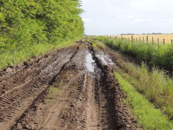 Consorcios rurales entrampados entre la aprobación y ejecución de presupuesto