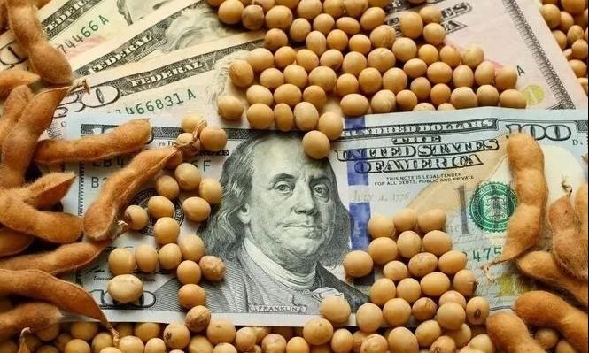 Aseguran que el dólar agro no beneficia a todos los sectores 