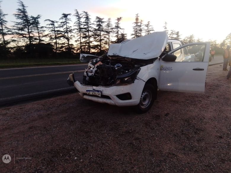 Una camioneta embistió a un caballo en ruta 8