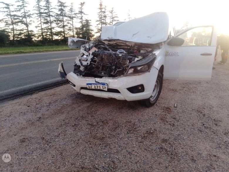 Una camioneta embistió a un caballo en ruta 8