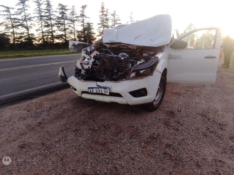 Una camioneta embistió a un caballo en ruta 8