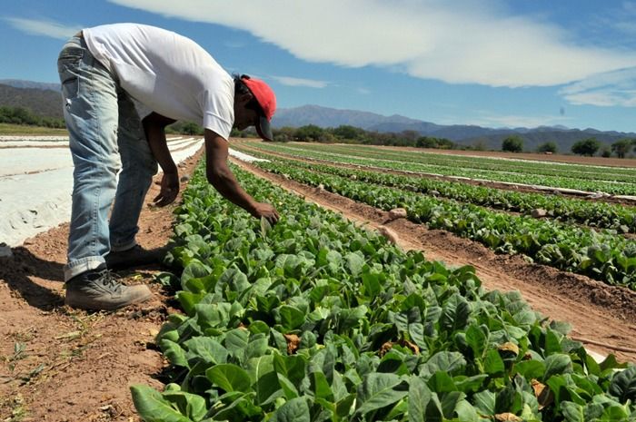 “No tuvimos respuestas concretas al pedido de salvataje de los pequeños productores del campo”