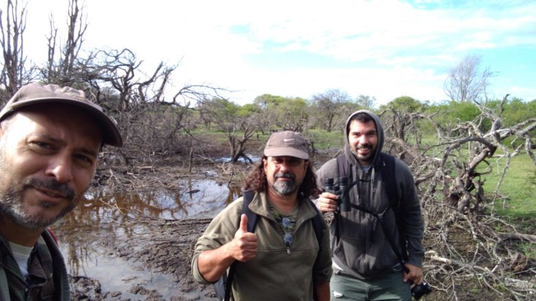 Río Cuarto tiene su Club de Observadores de Aves y es un éxito rotundo