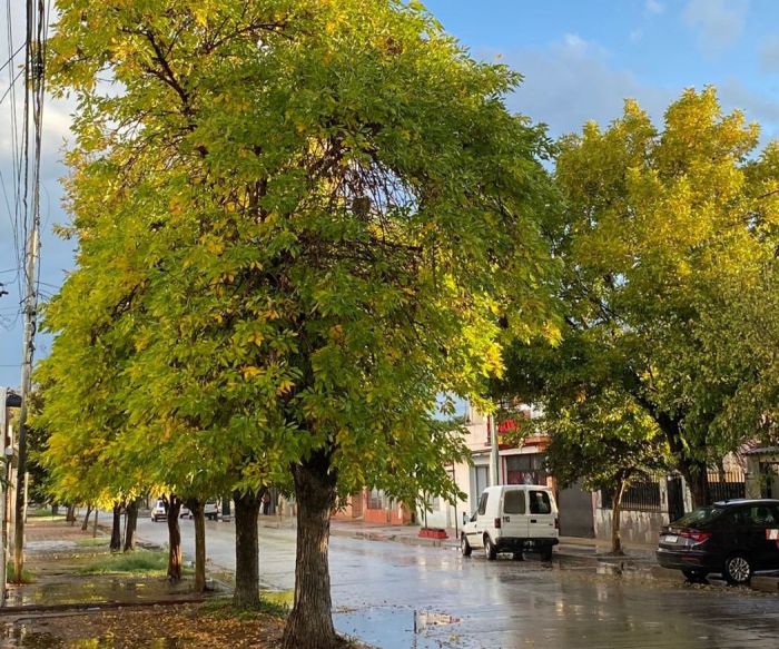 El calorcito primaveral resiste en este otoño