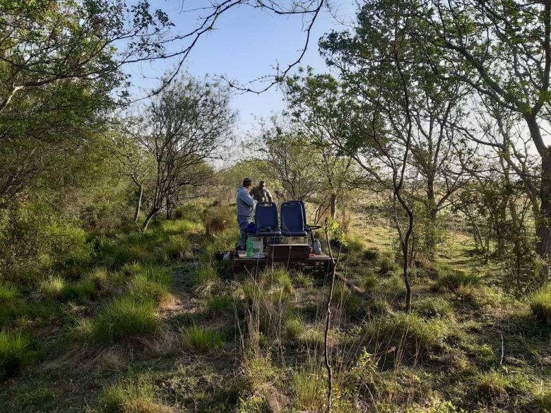 “Los locos del ferrocarril” impulsan el regreso del tren de pasajeros al sur de Santa Fe