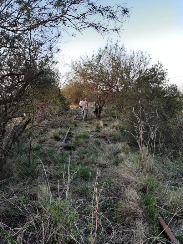 “Los locos del ferrocarril” impulsan el regreso del tren de pasajeros al sur de Santa Fe