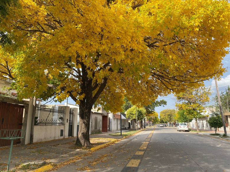 Jueves de alta temperatura y el 1 de mayo  llega el frío