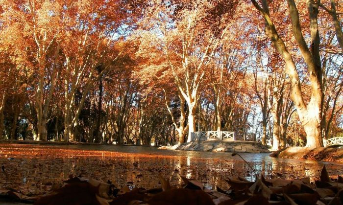 Esta semana el escenario será de tiempo otoñal