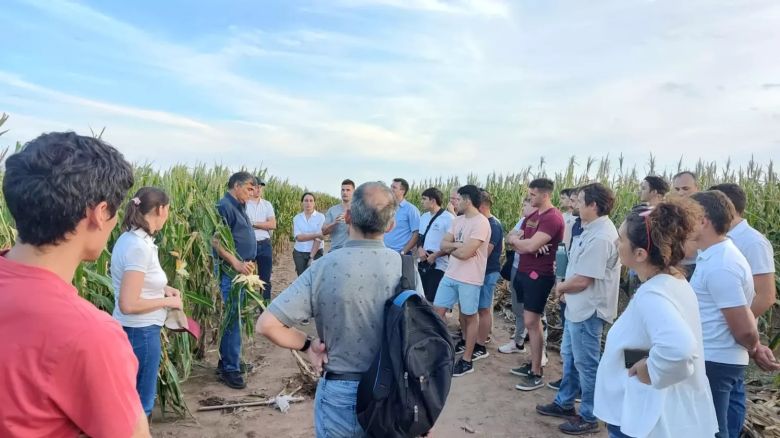 Fertilizar: El objetivo es pensar cómo llegar a una agricultura más eficiente y sostenible en 2040